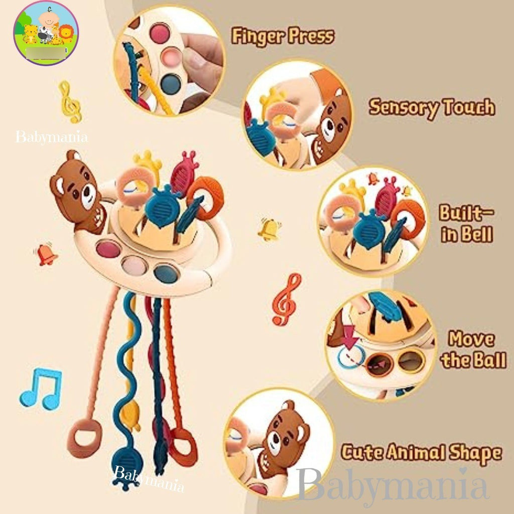 Juguete de Cuerdas de Tracción Diseño Osito