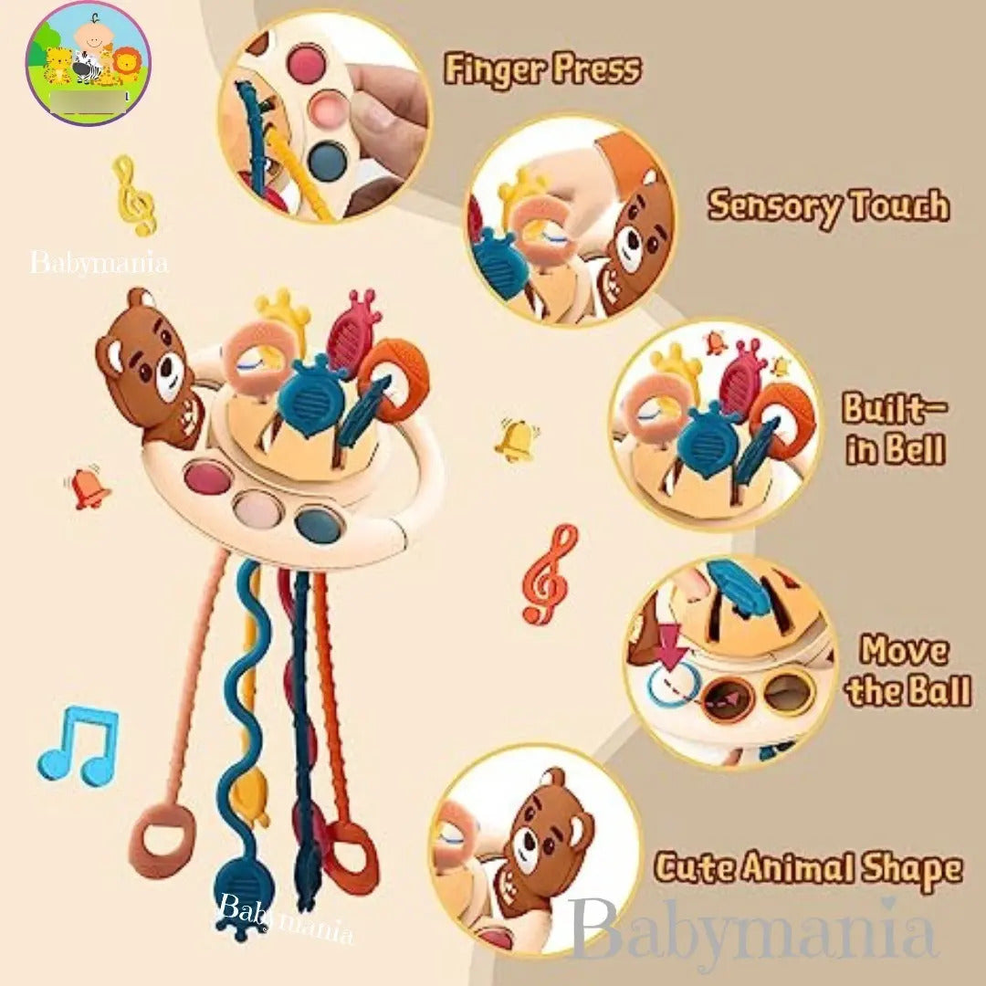 Juguete de Cuerdas de Tracción Diseño Osito