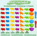 Juego de Clasificación de Animales y Colores · 44 Piezas