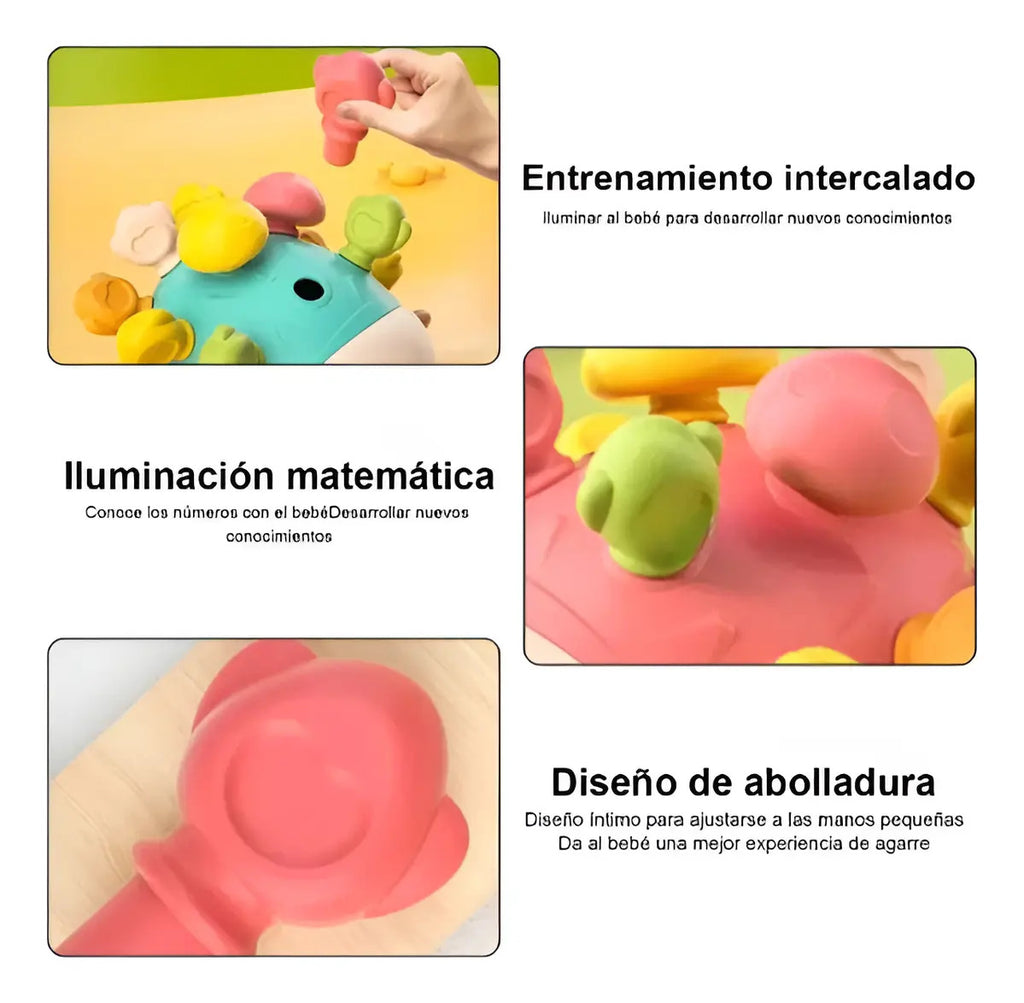 Erizo de Encaje con Piezas de Colores · Rosa o Verde