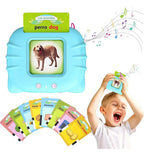 Lector de Tarjetas Interactivo en Español e Inglés · 112 Tarjetas