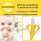 Pack de 4 Mordedores de Frutas y Animales para Bebé
