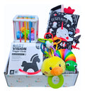 Box Juguetes Estimulación Sensorial Bebés 0-12m Gav