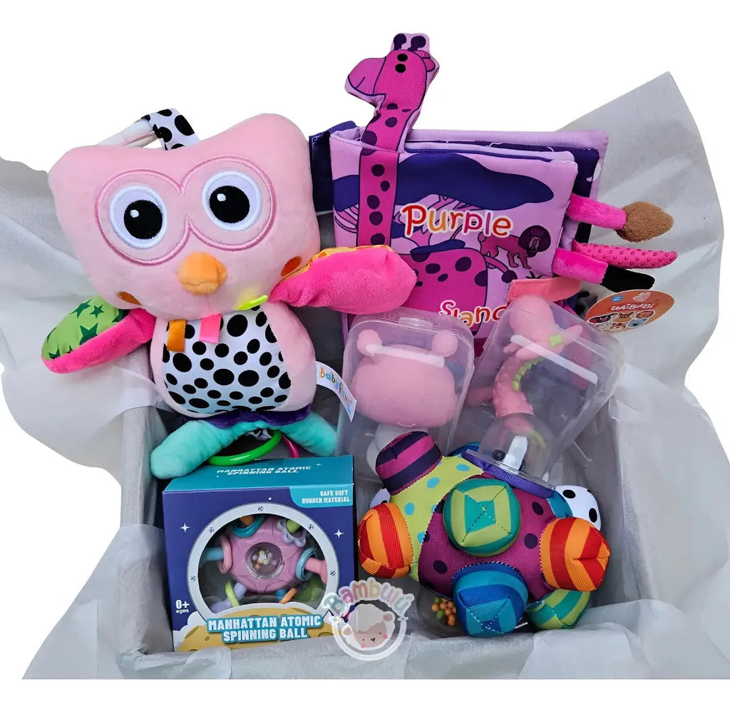 Kit De Juguetes Sensoriales Bebé Regalo Baby Shower