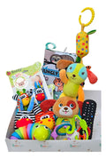 Box Estimulación Sensorial Bebe 0-12m Juguetes Sonajeros