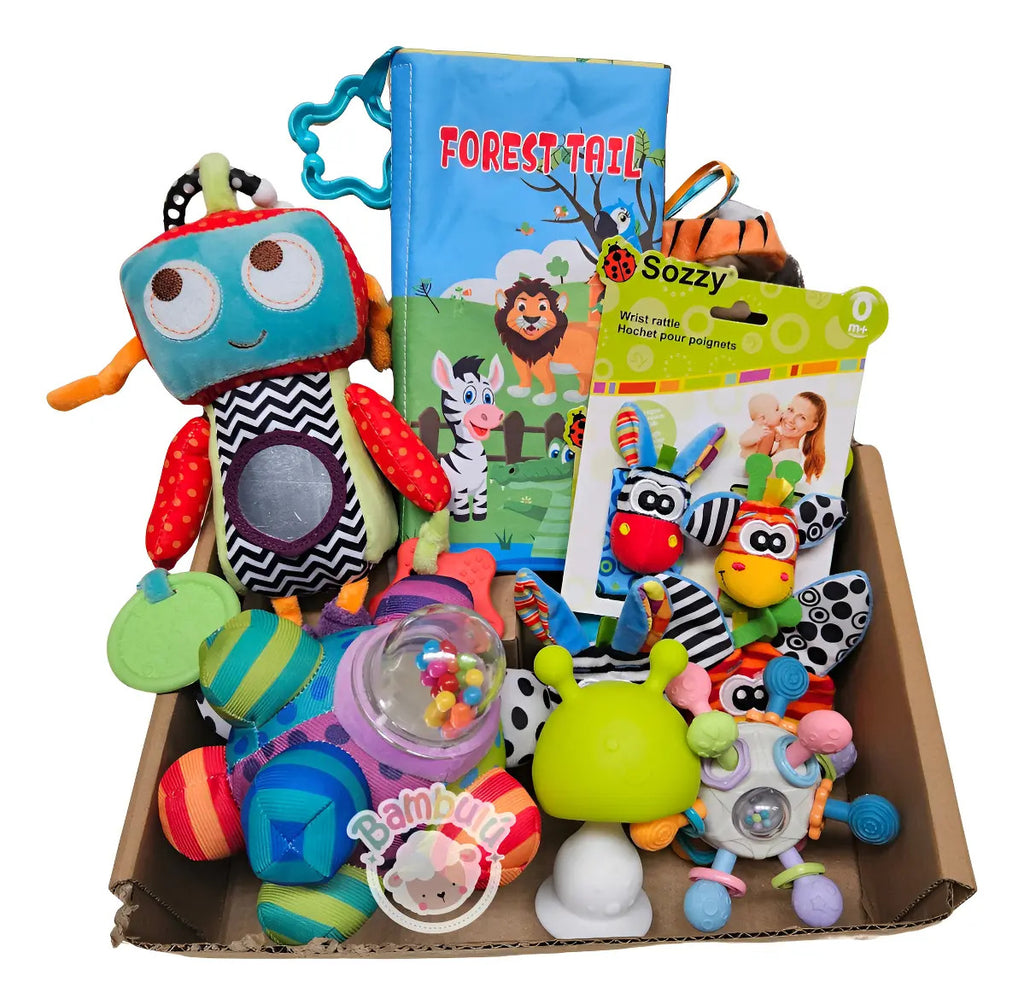 Box Juguetes Sensoriales Bebe Regalo Baby Shower