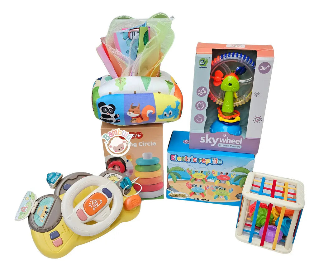 Kit Juguetes Didácticos Sensoriales Niños Regalo, Gav Import