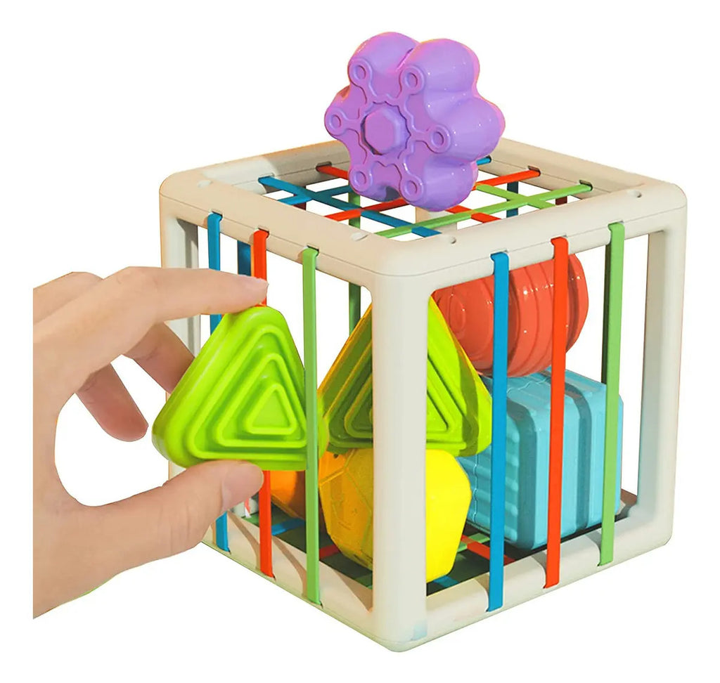 Kit Juguetes Didácticos Sensoriales Niños Regalo, Gav Import